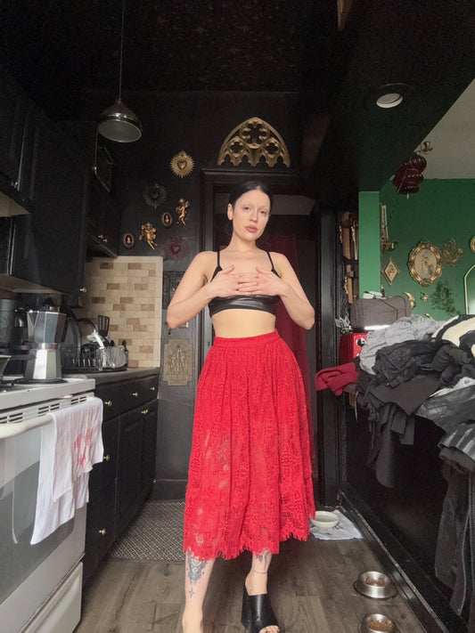 La Femme En Noir Lace Skirt NWT