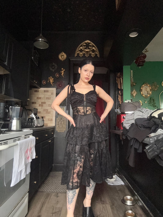 Lace Semi-Sheer Dress NWT